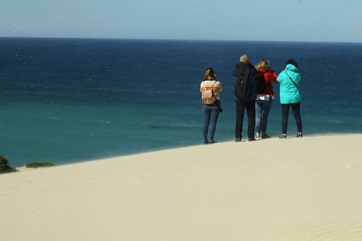 Four people standing on a sandy dune looking out at the blue ocean.