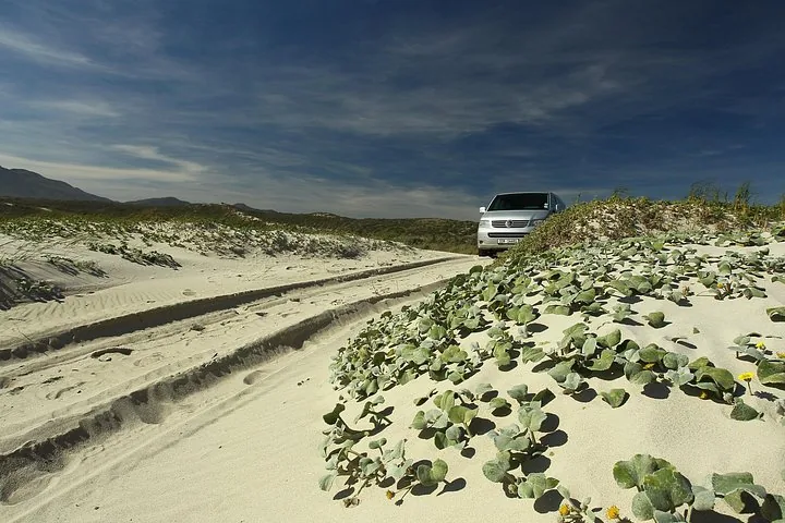 A white van driving on a sandy track with green vegetation near a beach.